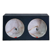 SUBWOOFER BOX FOR 2 x 12